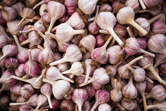 L’ail au quotidien : bien plus qu’un simple aromate