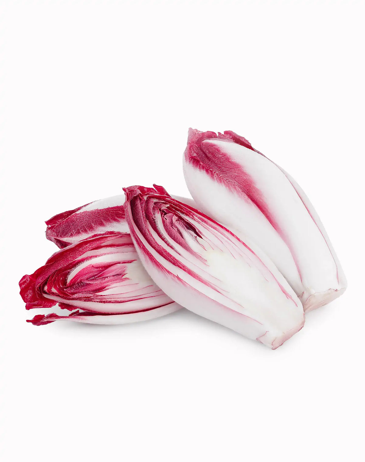 Cykoria czerwona 250g