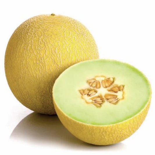 Melon galia 1szt
