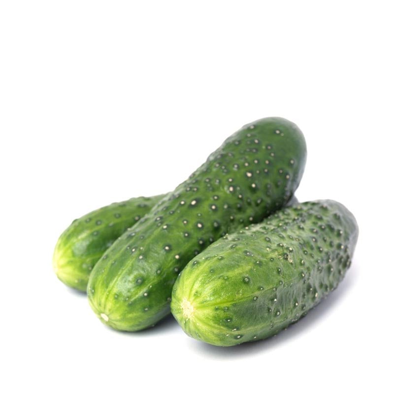 Ogórek gruntowy  duży 1kg